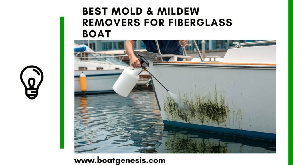 best mold and mildew removers for fiberglass boats - featured image